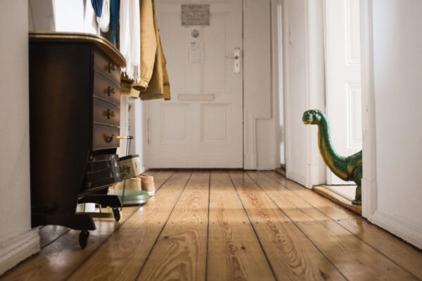 Toy dinosaur is waiting in a hallway with a wooden floor.